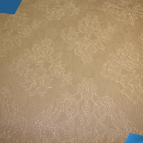 White French Lace - Fabric