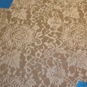 White French Lace - Fabric