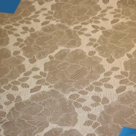 White French Lace - Fabric