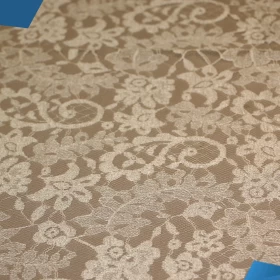 White French Lace - Fabric