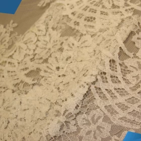 White French Lace - Fabric