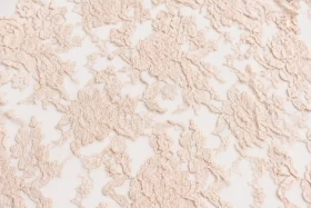 Lace Fabric-1